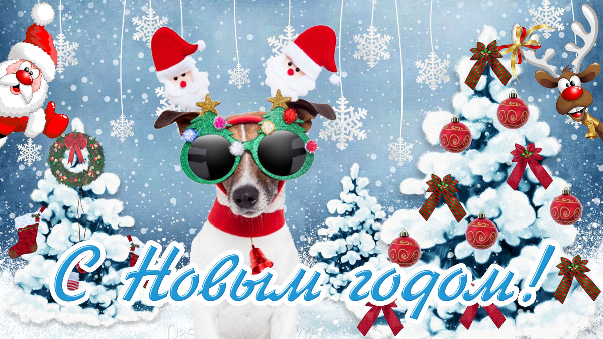 Прикольная новогодняя открытка с Новым годом под знаком собаки