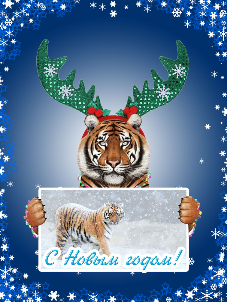Прикольная новогодняя открытка с Новым годом под знаком тигра