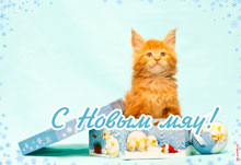 Новогодние открытки и рамки для фото с котиками
