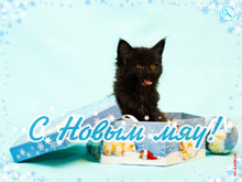 Новогодняя открытка с кошкой - векторная графика